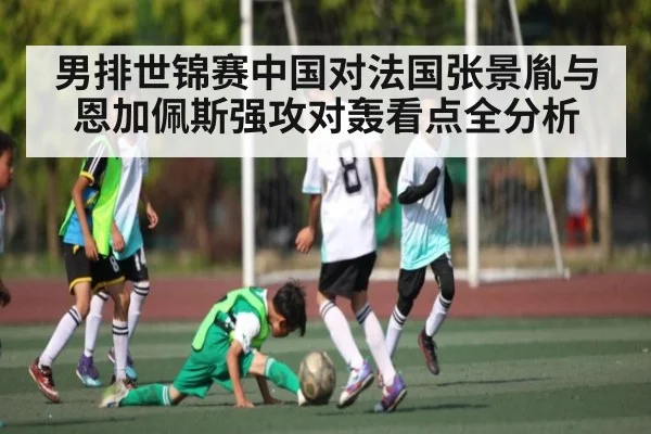 男排世锦赛中国对法国张景胤与恩加佩斯强攻对轰看点全分析